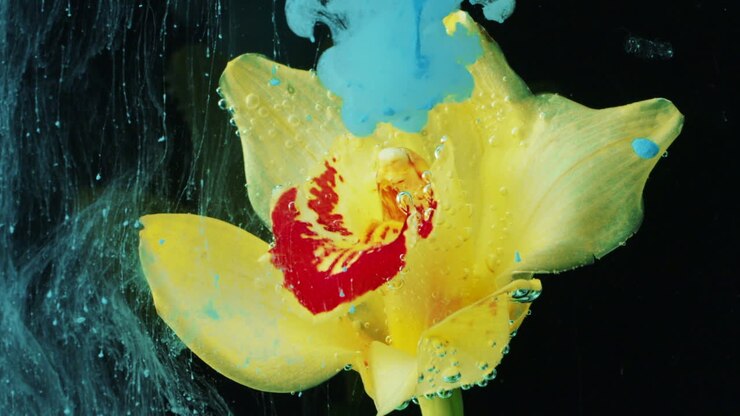 Orchidea Gialla nell'Acqua con Gocce d'Inchiostro