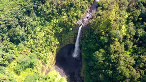aerial footage of akaka falls dropping dramatically from a high cliff into a shaded pool, surrounded by vibrant green rainforest and rugged natural terrain