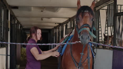 woman grooming a horse in a stable