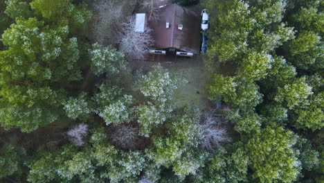 Top-down-small-house-in-the-middle-of-the-forest-between-the-trees