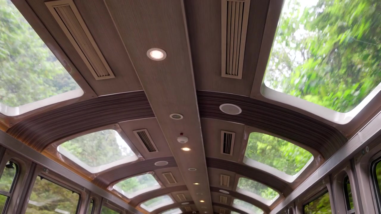 Ripresa interna dal basso del soffitto panoramico in vetro sul treno Vistadome per Machu Picchu, Perù. I viaggiatori godono della vista della lussureggiante volta della giungla e delle montagne attraverso i lucernari