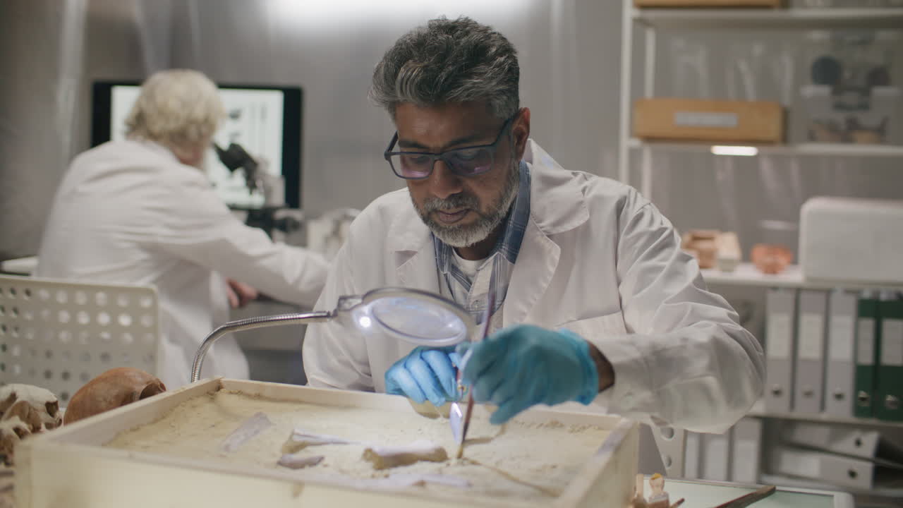 Scientist Excavating Fossil Fragments in Sand Tray in Archaeology Laboratory