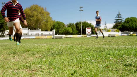 rugby players playing rugby on the field 4k 4k