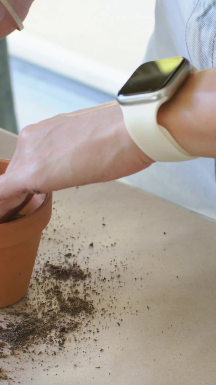 Video verticale: Un braccio con orologio bianco raccoglie terra da un mucchio, riempiendo un vaso di terracotta per piantare su un tavolo.