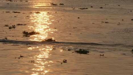 el barco de silueta pasa el reflejo de la puesta de sol en el agua del río.
