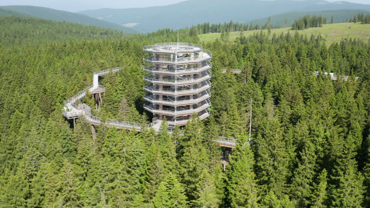 Aerial View of a Wooden Observation Tower in a Forest
