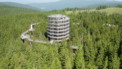 aerial view of a wooden observation tower in a forest