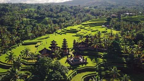 aerial view of lush green rice terraces with a temple nestled among palm trees, capturing the serene