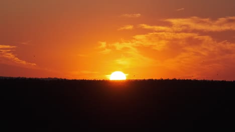 sunset over the horizon