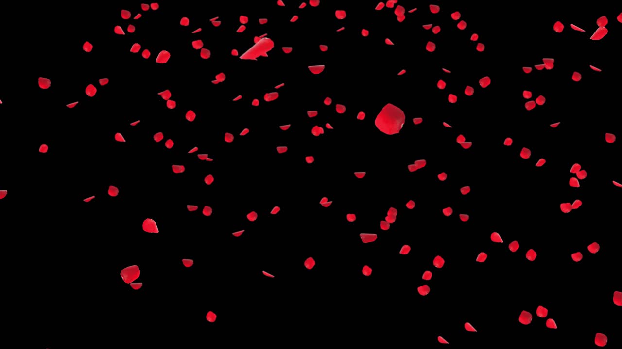 Flowers petals falling loop background green screen animation valentine wedding or women day love