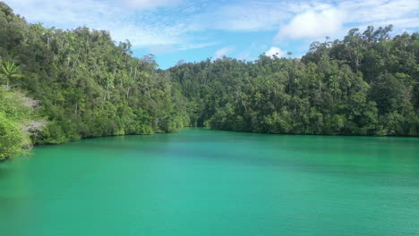 laguna esmeralda en una selva tropical