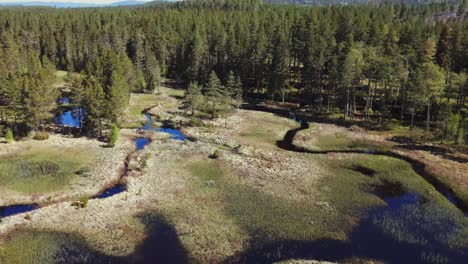 aerial view of coniferous forest and lake in rural dalarna, sweden - drone shot