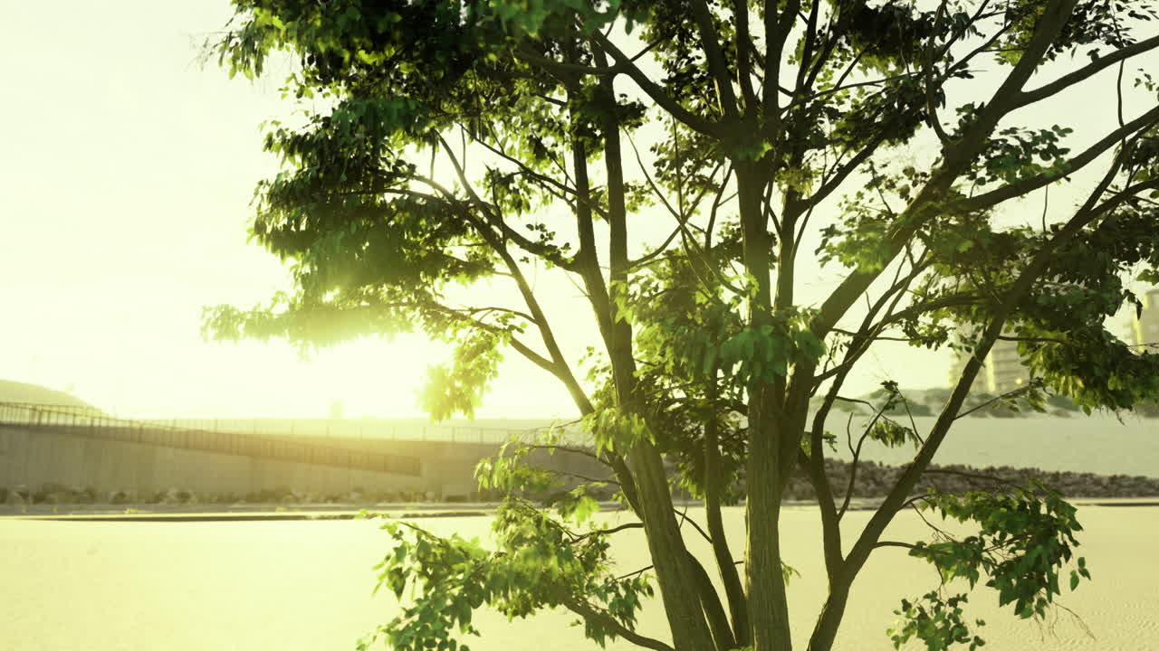 Sunlight filters through leaves beside a tranquil river during golden hour