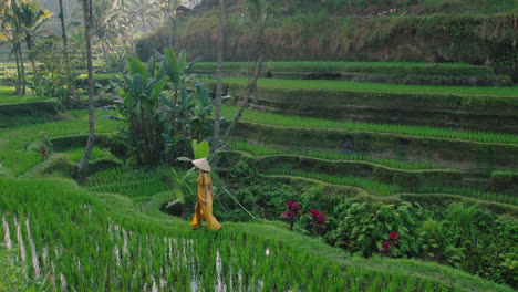 travel woman in rice field wearing yellow dress with hat exploring lush green rice terrace walking in cultural landscape exotic vacation through bali indonesia discover asia