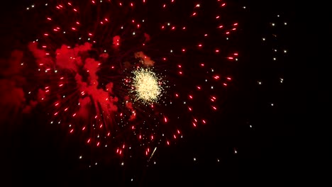 los fuegos artificiales en el cielo nocturno