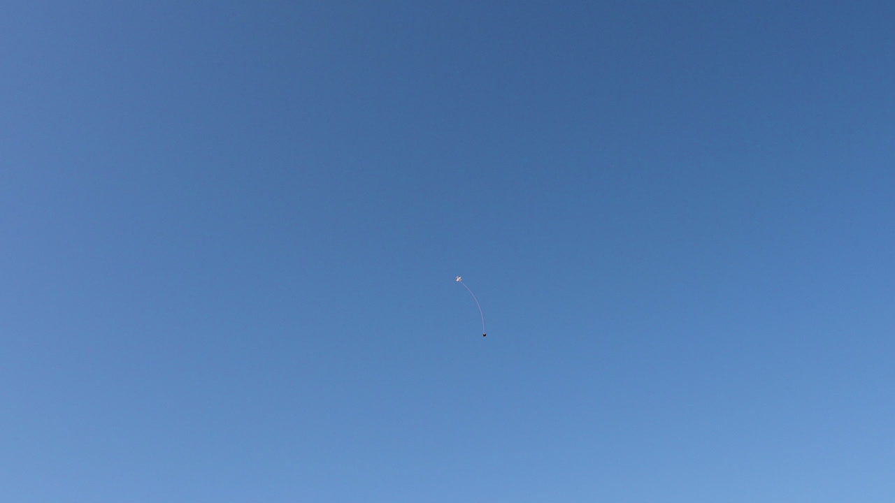 dron utilizado en el entrenamiento del halcón peregrino