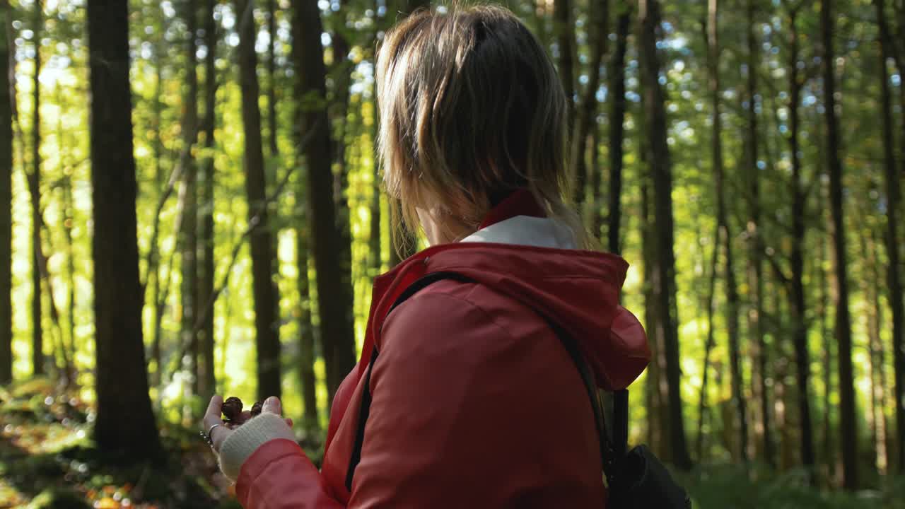 숲 속 에 있는 나무 들 을 들고 있는 여자