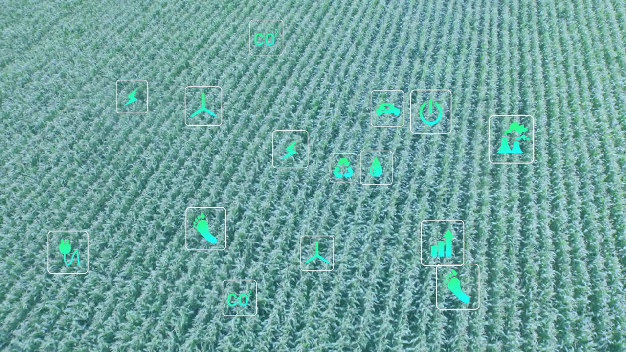 Expansive aerial green crop field displaying overlaid sustainability icons in flat design layout
