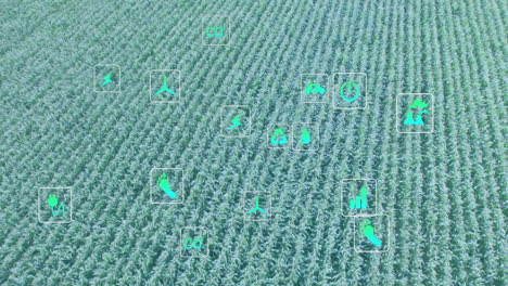 expansive aerial green crop field displaying overlaid sustainability icons in flat design layout