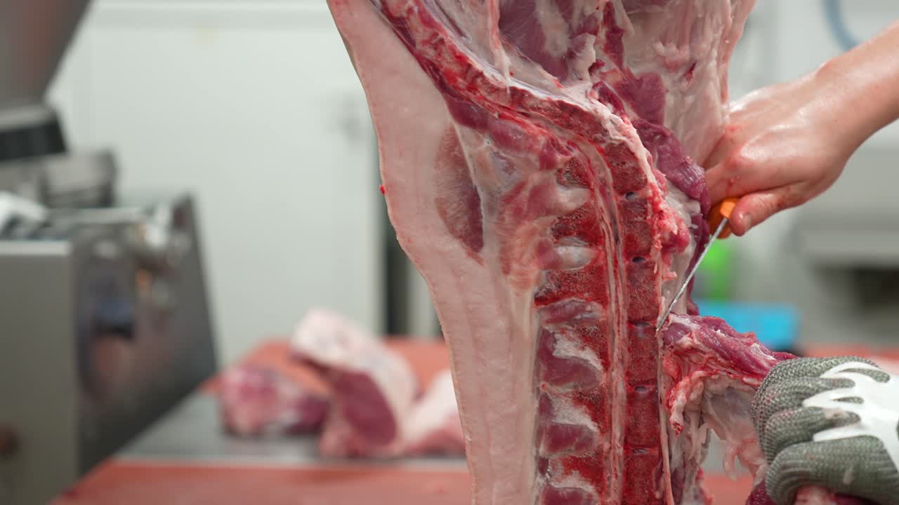 Abbatoir slaughterhouse operative cutting pork meat from pig carcass