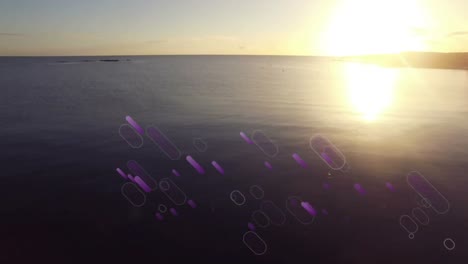 animación de llamaradas de luz púrpura que se mueven sobre el mar al atardecer