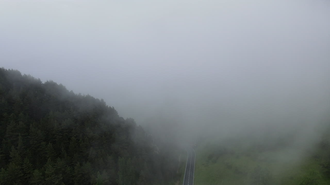 피레네 산맥의 소나무 숲 위로 두꺼운 구름을 관통하는 드론의 공중 전망