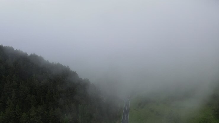 Aerial View Of A Drone Penetrating A Thick Cloud Over A Pine Forest In The Pyrenees