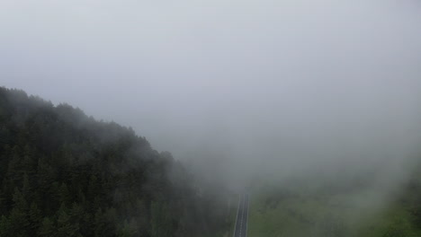 一架无人机在皮雷尼山脉的一片松树林上穿过厚厚的云层的空中景象