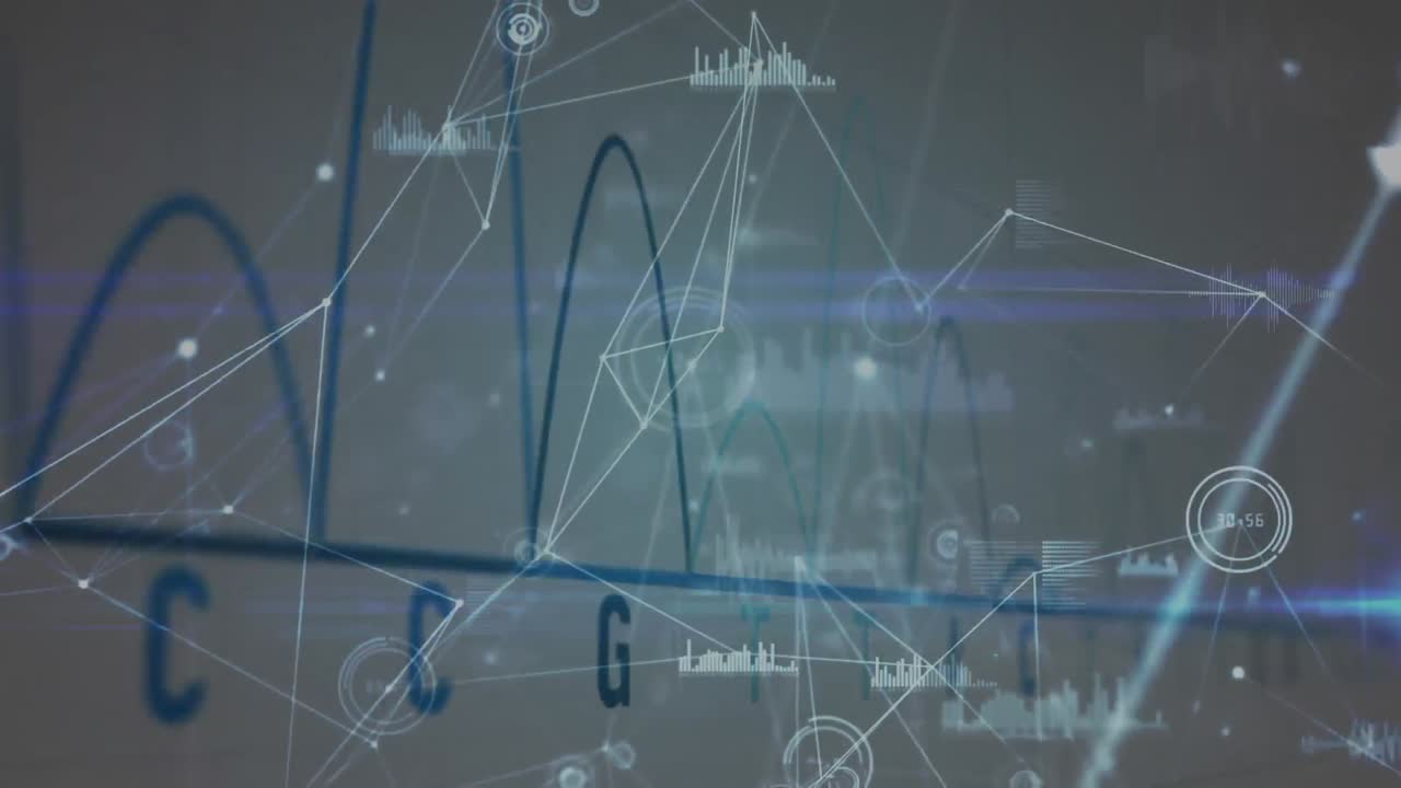 Digital interface with graphics and network connections