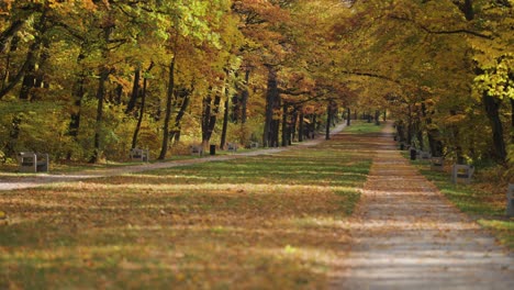 Romantic-autumn-alley-in-the-park