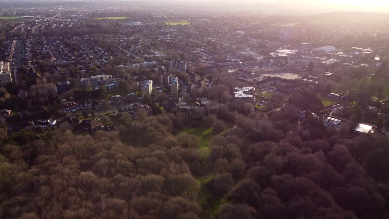 Aerial view of London suburban town next to trees and forest at sunset