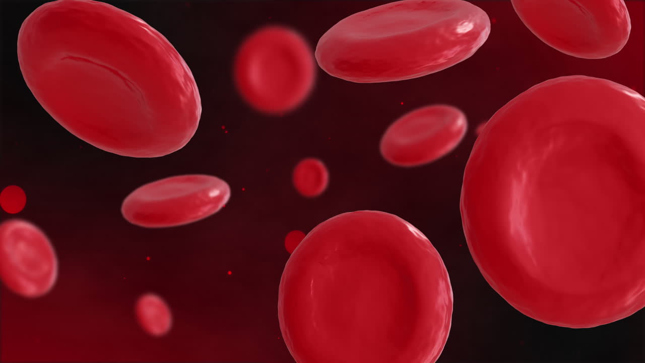 animación de micro de células rojas de la sangre sobre un fondo negro