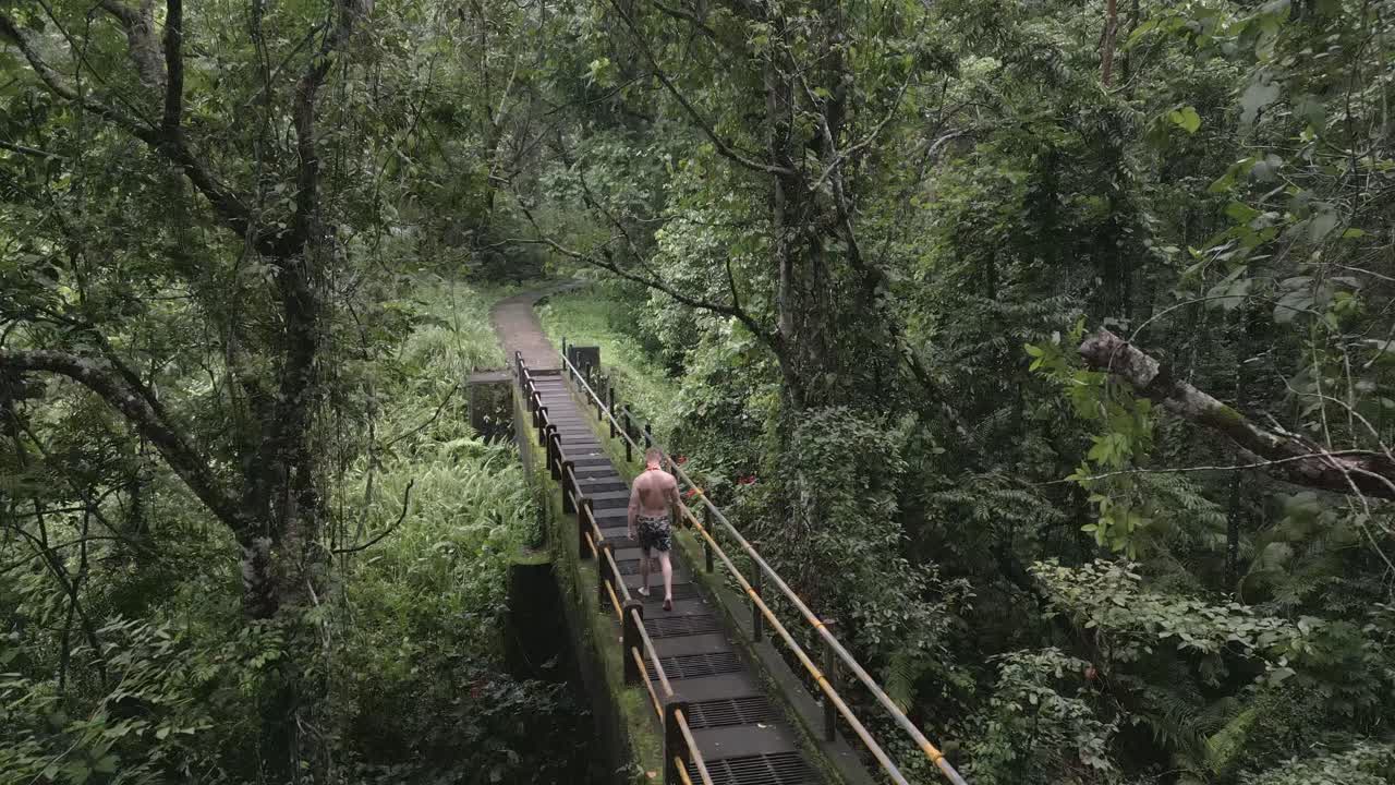 la proximidad aérea desciende a través de los árboles de la jungla, el hombre caminando por el puente