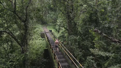 proximity aerial descends through jungle trees, man walking on bridge