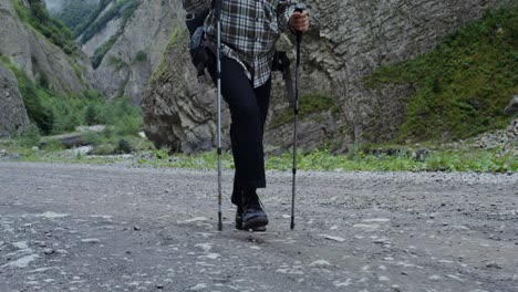 excursionista con palos de senderismo en el camino de montaña