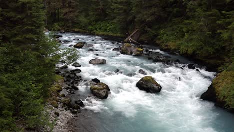 river flowing through rocks in the forest in alaska