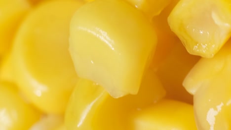 macro video of fresh corn spinning in a circle corn background the concept of agriculture macro video of fresh corn spinning in a circle corn background the concept of agriculture