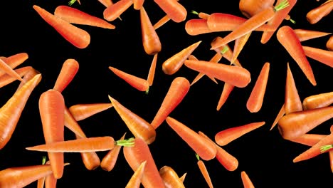 falling carrots background, vegetables, with alpha channel, loop