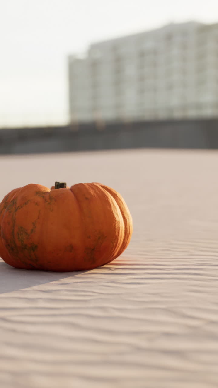 una sola calabaza en un techo
