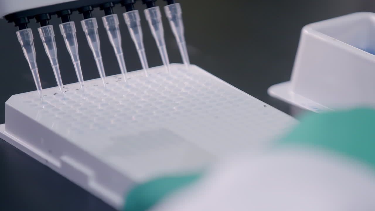 Medical worker use multichannel Pipette Filling into 96 wells plate Microplate with Samples Scientific Research Laboratory Technology Equipment Precise High Quality for detection antibodies infections