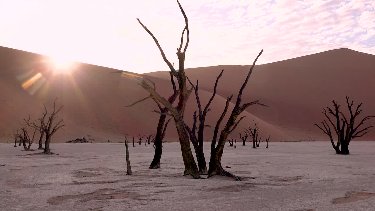 namib naukluft 국립 공원 namib 사막 나미비아 2의 deadvlei 및 sossusvlei에서 새벽에 실루엣으로 놀라운 죽은 나무