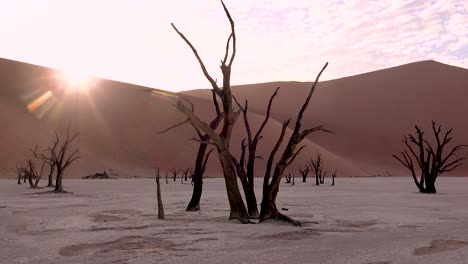 asombrosos árboles muertos silueteados al amanecer en deadvlei y sossusvlei en namib naukluft national park desierto de namib namibia 2