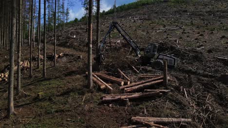 wood harvesting vehicle processing tree log at forestry industry site