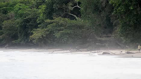 Bright-foamy-Caribbean-sea-at-the-white-beach-of-Cahuita,-Costa-Rica