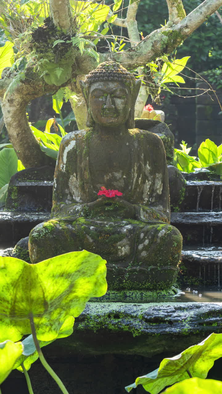 palm trees and tropical rainforest in vertical