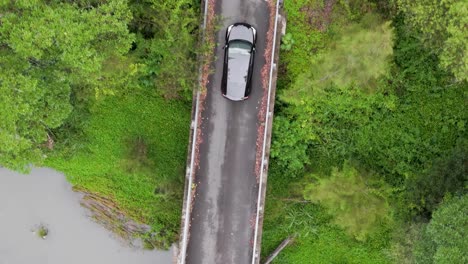 car on bridge over a river in forest