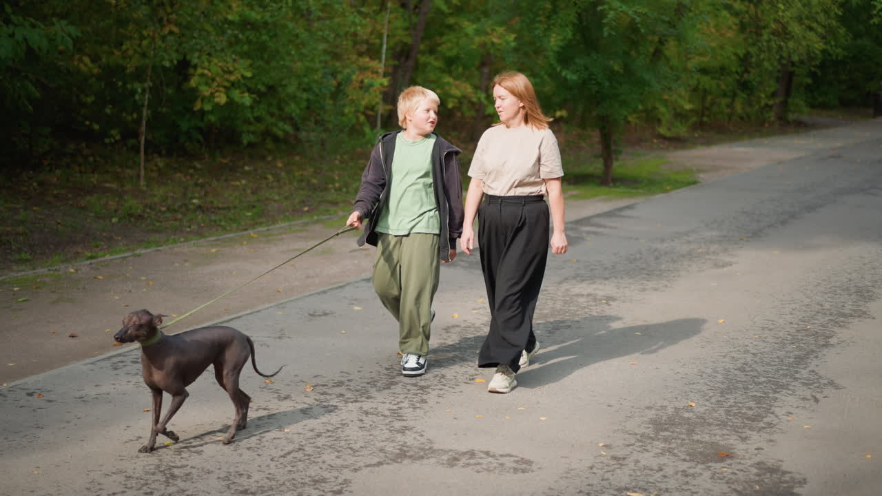 White Woman And Boy Walking Dog Together Down TreeLined Road, Leisurely Neighborhood Stroll With Relaxed Pet On Leash, Casual Conversation And Natural Scenery, Autumn Light And Slow Pace