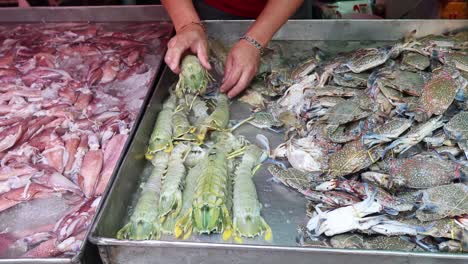 hands sorting fish and crustaceans at market