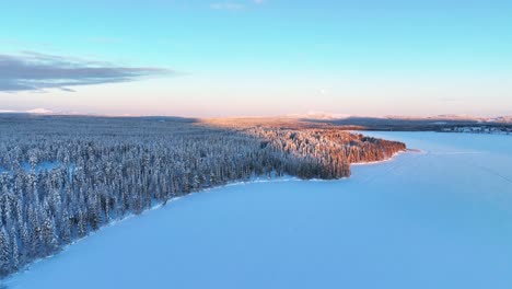 snowy pine forest and frozen lake during winter in pyha, finland - aerial drone shot