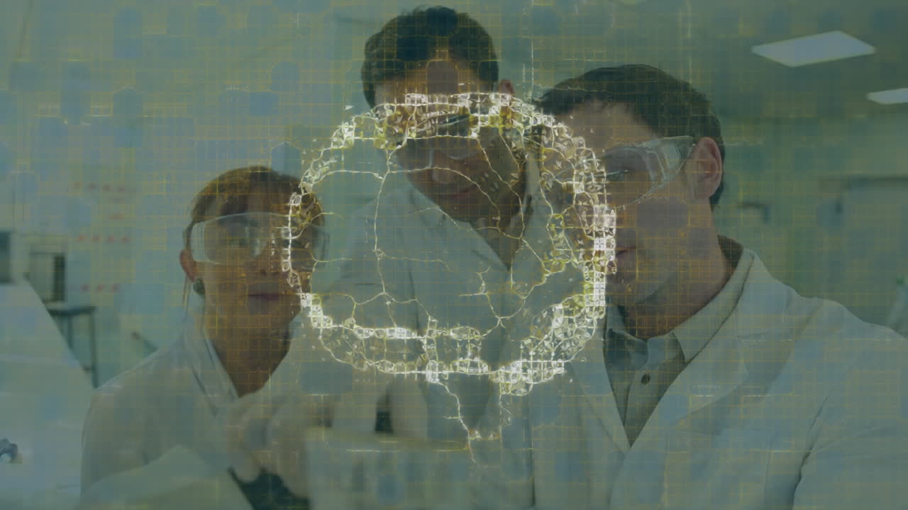 científicos en abrigos de laboratorio examinando muestras a través de animación de red digital